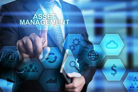 Pratique de l'asset management (Finance)